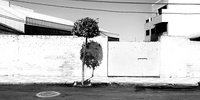 Imagen para el proyecto MASTERPLAN