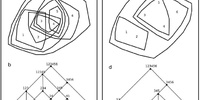 Imagen para el proyecto C. Alexander, La Ciudad no es un árbol