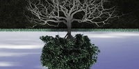 Imagen para el proyecto La ciudad no es un árbol//Cristopher Alexander[Diálogo 07]
