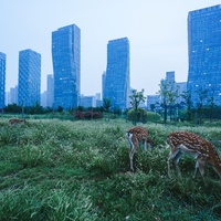 Imagen para la entrada Corea del Sur y su ciudad sin coches