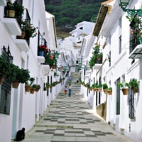 Imagen para la entrada Giovannoni . VIEJA CIUDAD -