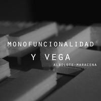 Imagen para la entrada MULTIFUNCIONALIDAD Y VEGA. 