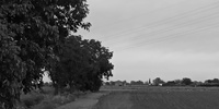 Imagen para el proyecto E2 MASTERPLAN