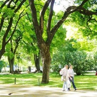 Imagen para la entrada Espacios verdes en Lisboa