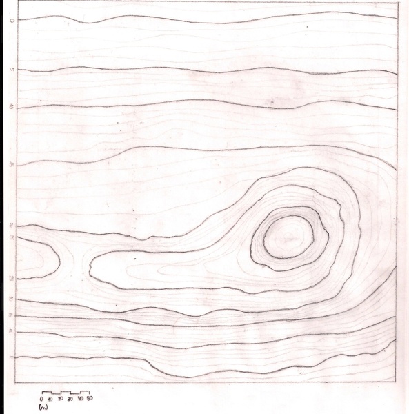 Topografía