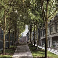 Imagen para la entrada ¿Qué puede hacer un arquitecto por la ciudad?