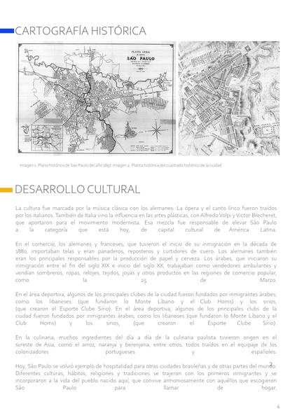 DESARROLLO CULTURAL