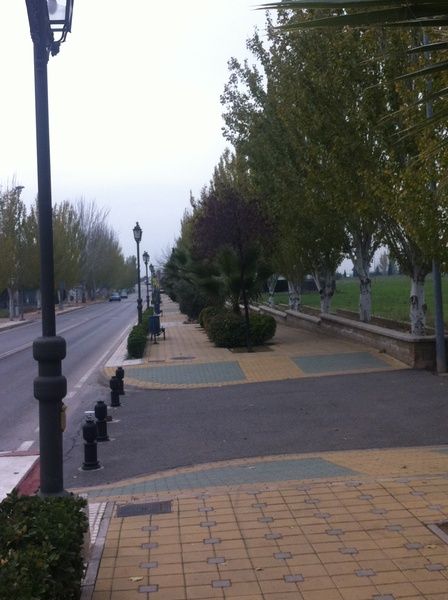 imagen de la 'Avenida Reina Sofia'